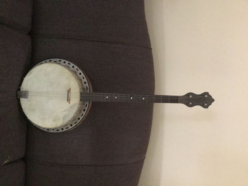 Waverly V-2 Single Banjo Peg – Elderly Instruments