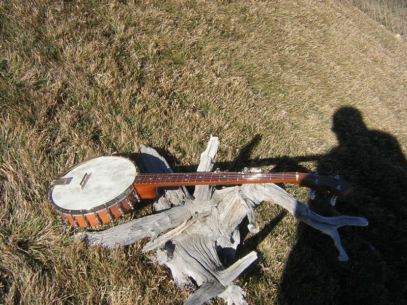 1973 ome banjo grubstake