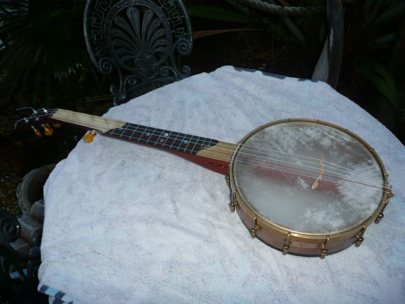 Semi on sale fretless banjo