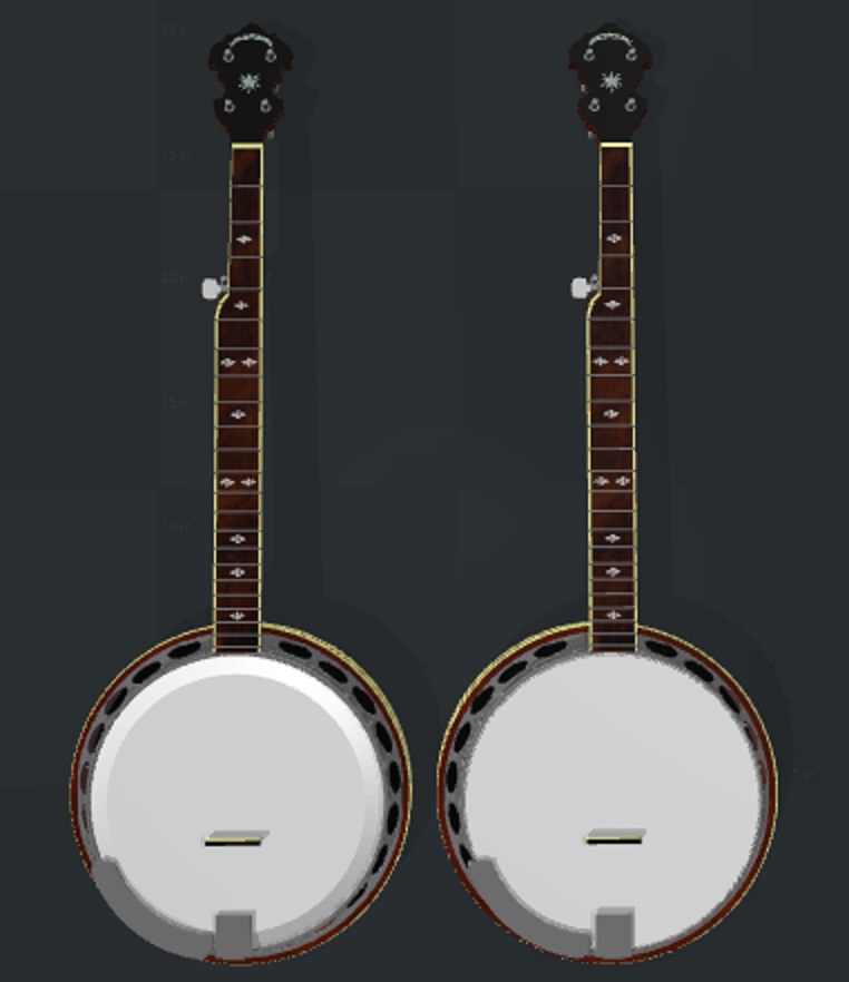 archtop banjo head