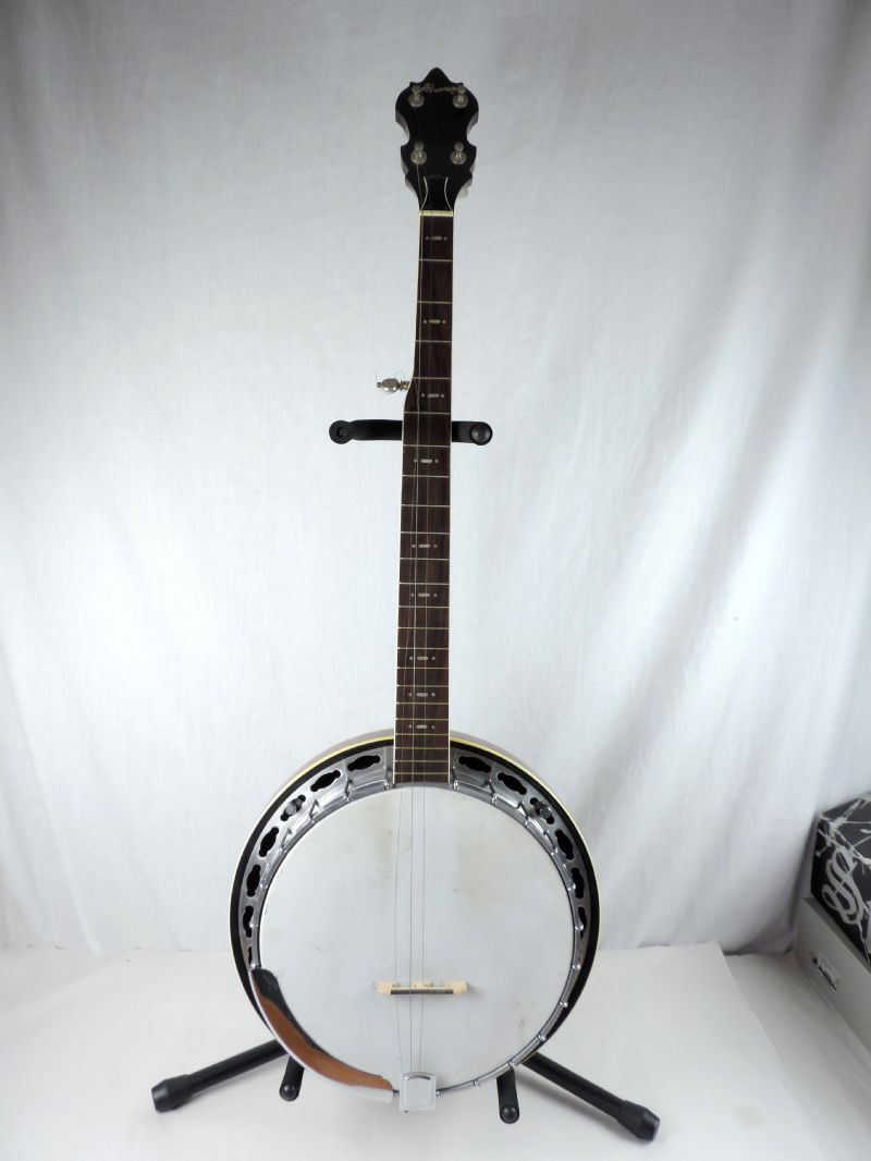 alvarez banjos history