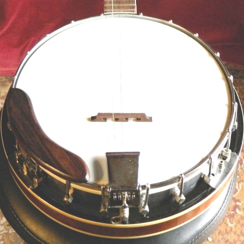 FF] SWING-AWAY CAN OPENER - Discussion Forums - Banjo Hangout