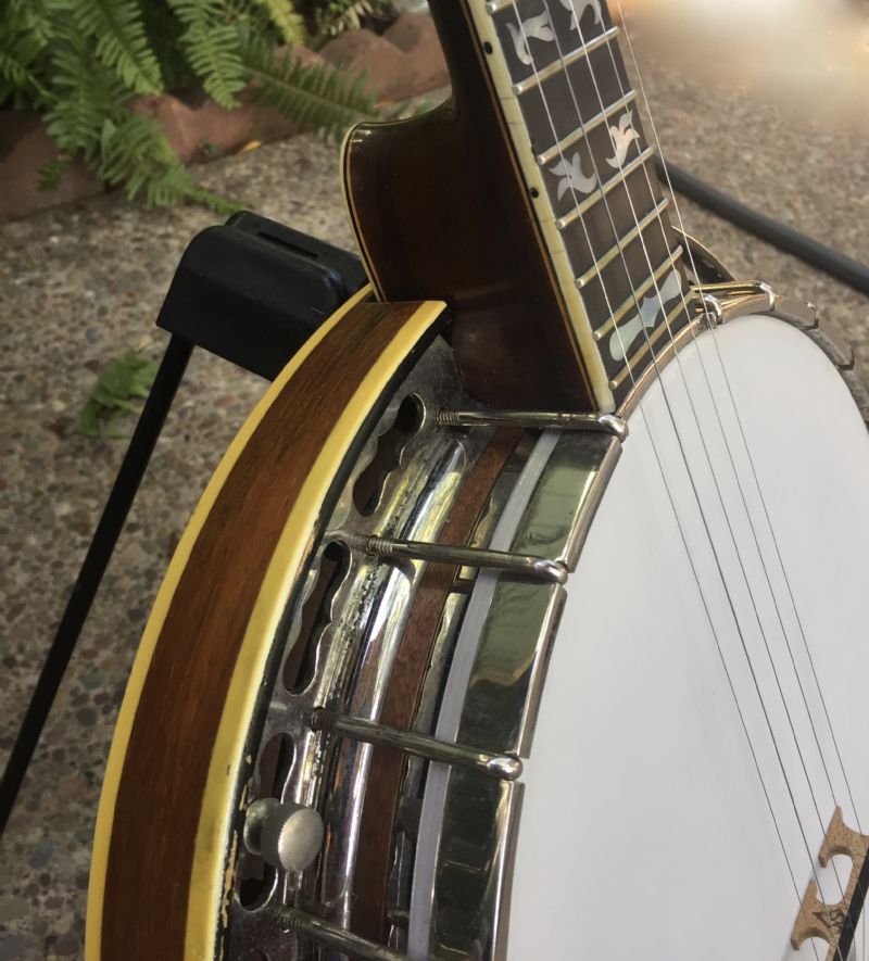 ode banjo catalog