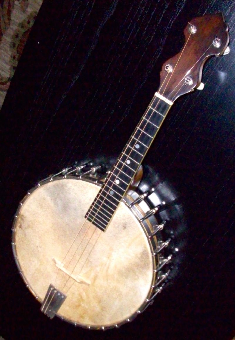 Deering Goodtime Banjo Ukulele - or is it a short tenor? - Discussion ...