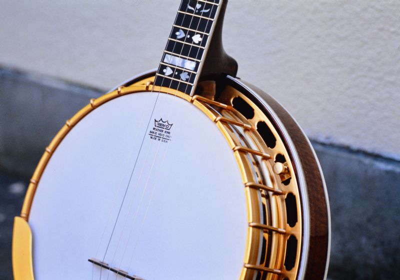 Mystery banjo made by Tokai Gakki - Discussion Forums - Banjo Hangout