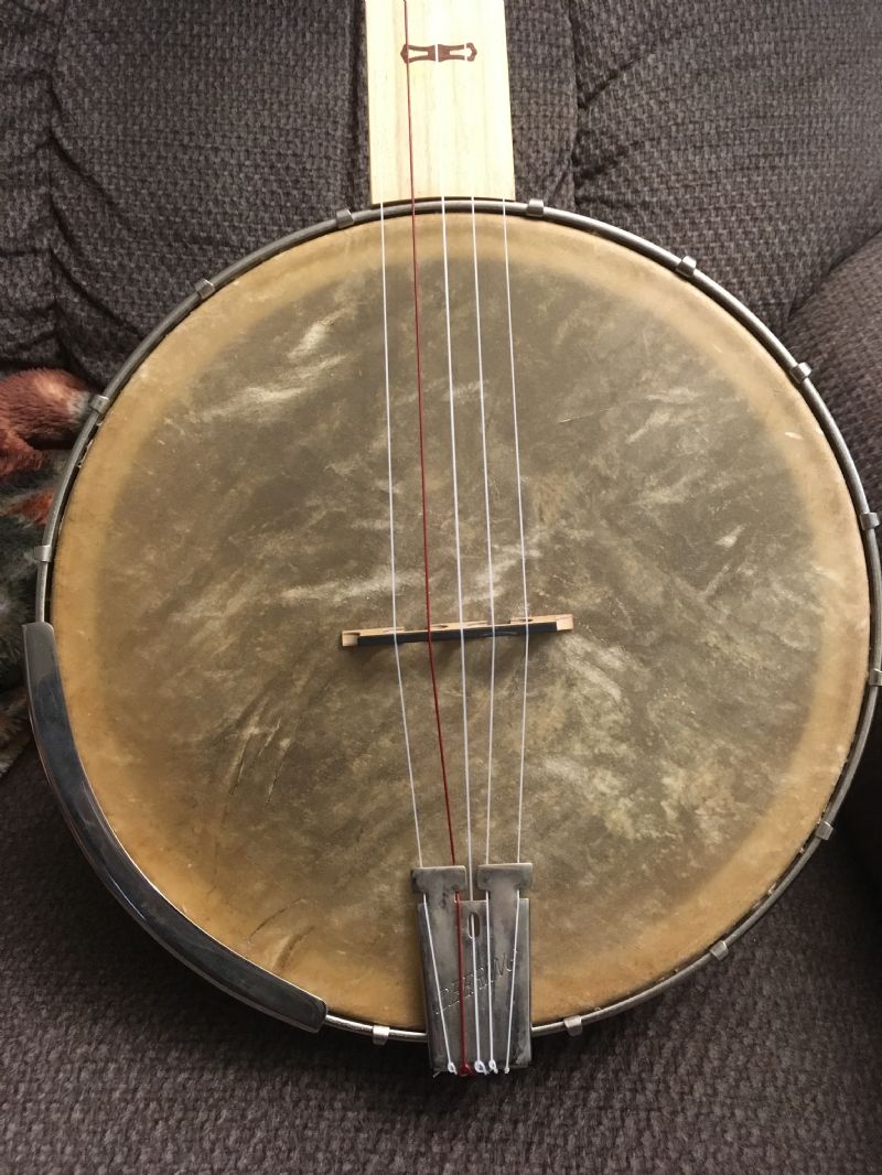 Calf skin or rawhide head for minstrel banjoe - Discussion Forums - Banjo  Hangout