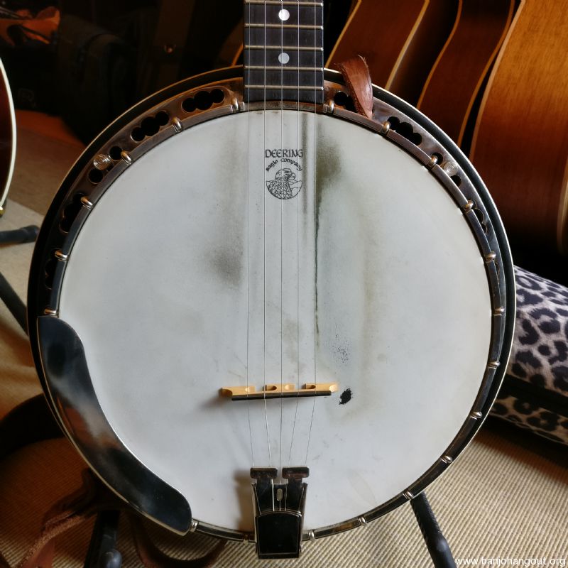 used deering banjos sale