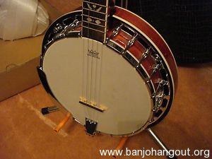 recording king rk r20 songster banjo