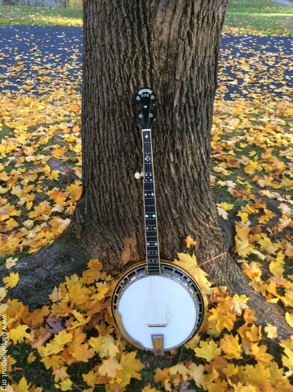 1976 ome banjo