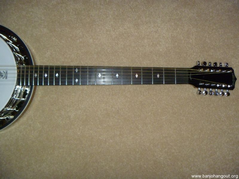 12 string banjo