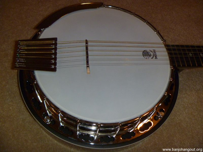 12 string banjo for sale