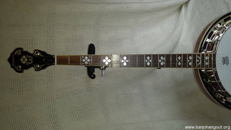 Johnson JB-300 For Sale Used Banjo For Sale At