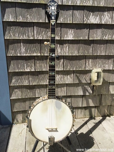 vega banjo identification