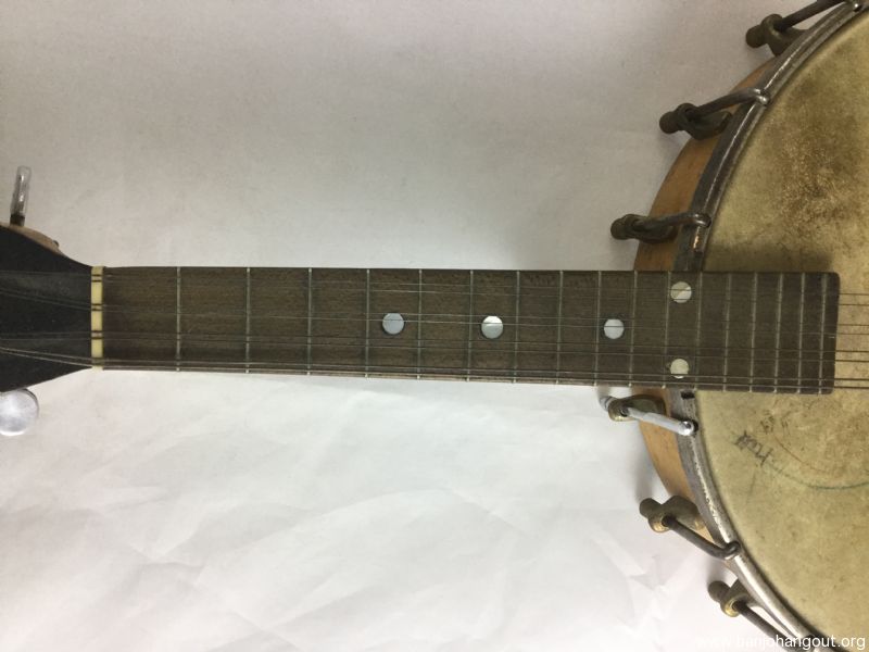 8 stringed banjo