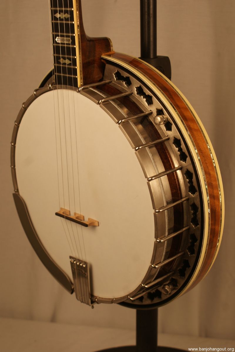 1979 Stelling Staghorn 5 string Banjo BANJO WAREHOUSE ATLANTA. - Used ...