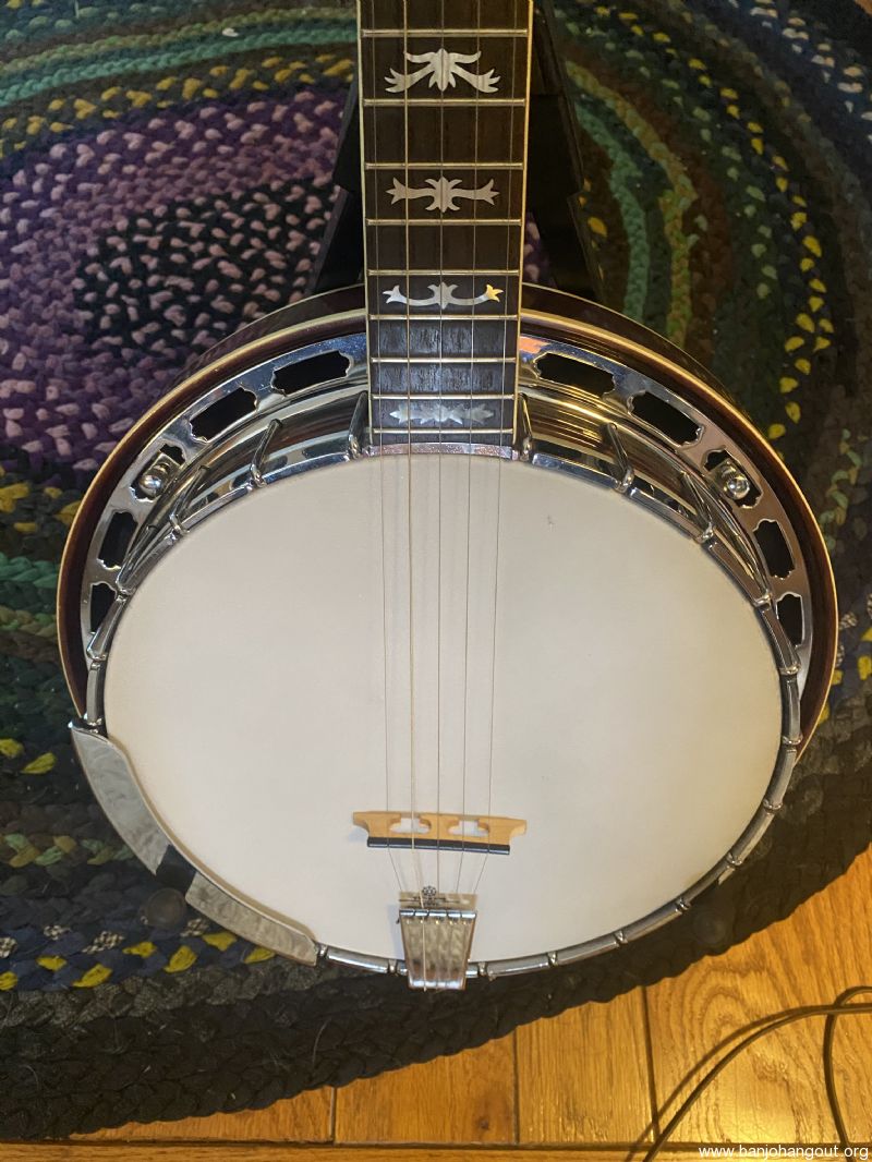 fender leo banjo serial numbers