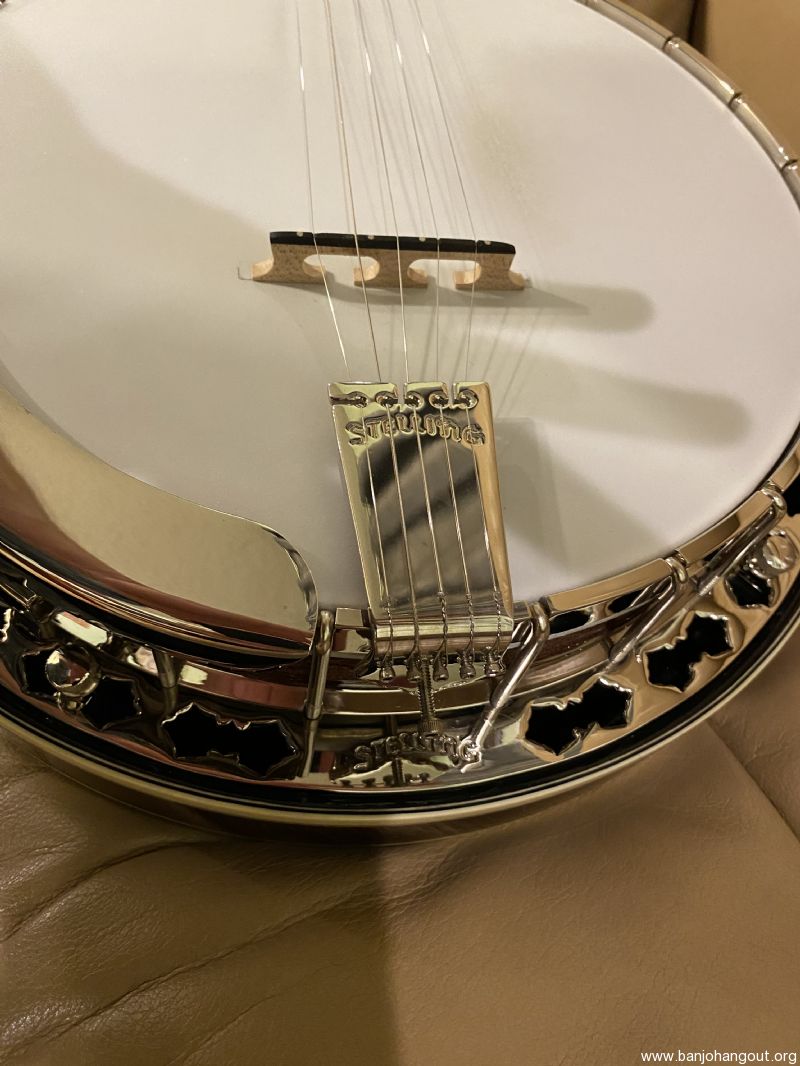 Stelling sunflower deals banjo for sale