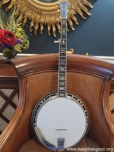 Stelling staghorn store banjo