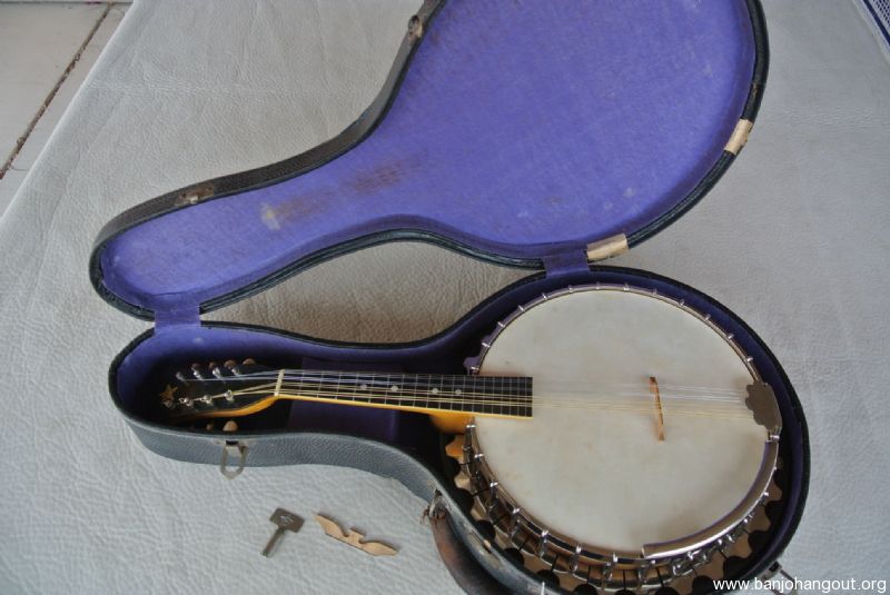 vega little wonder banjo mandolin serial numbers