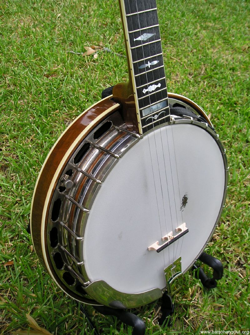 1981 gold star banjo for deals sale