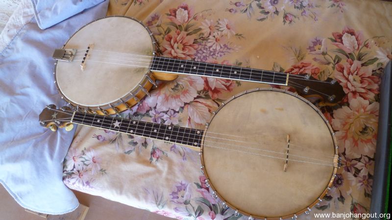 17 fret tenor store banjo for sale