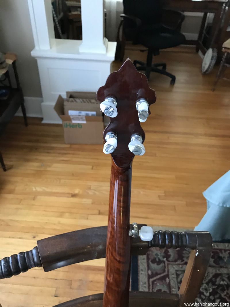 Saga Pony Banjo w/Upgrades - Used Banjo For Sale at BanjoBuyer.com