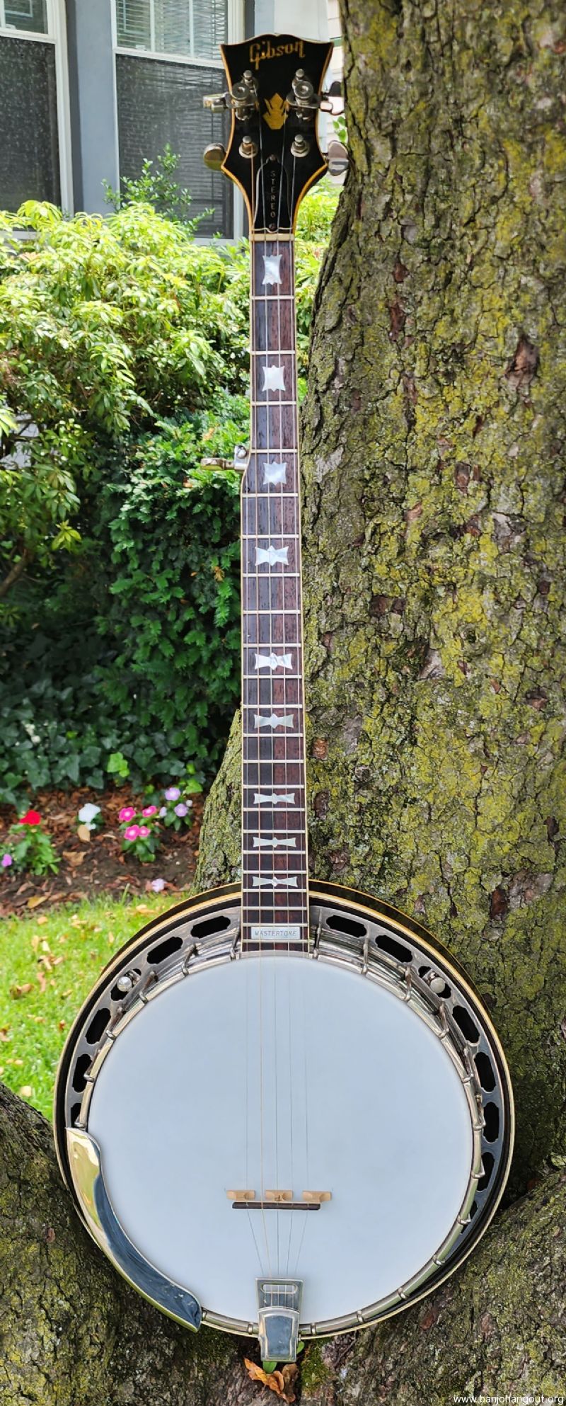 Gibson rb store 250 banjo