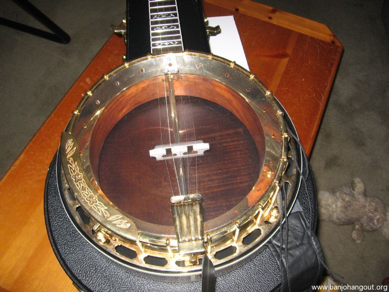 morgan monroe banjo model identification