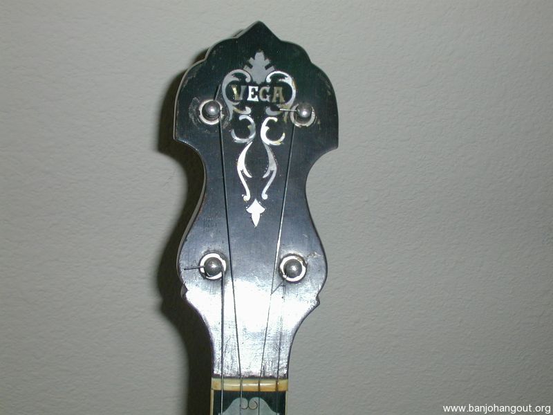 Vega banjo identification