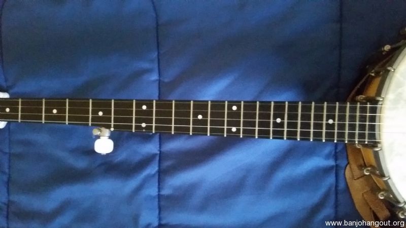 no serial number on morgan monroe banjo