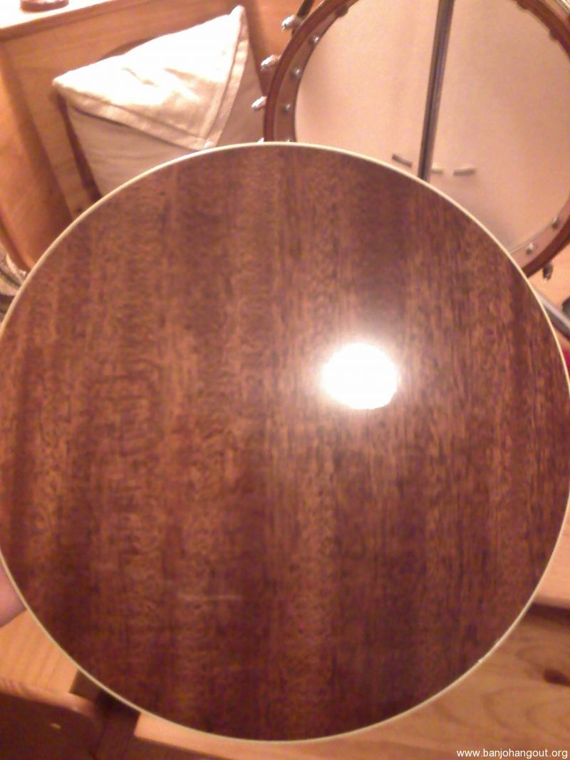 1973 ome banjo
