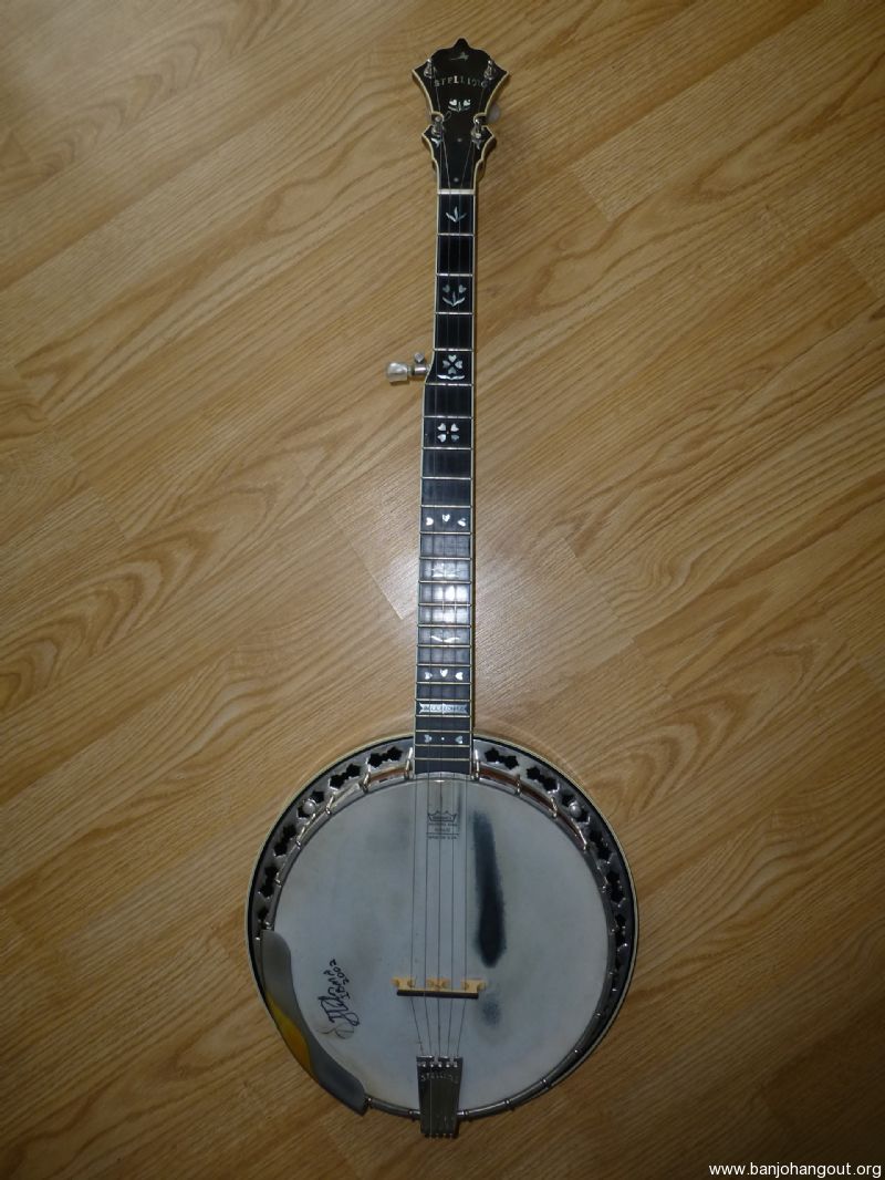 STELLING BANJO FOR SALE - Used Banjo For Sale at BanjoBuyer.com