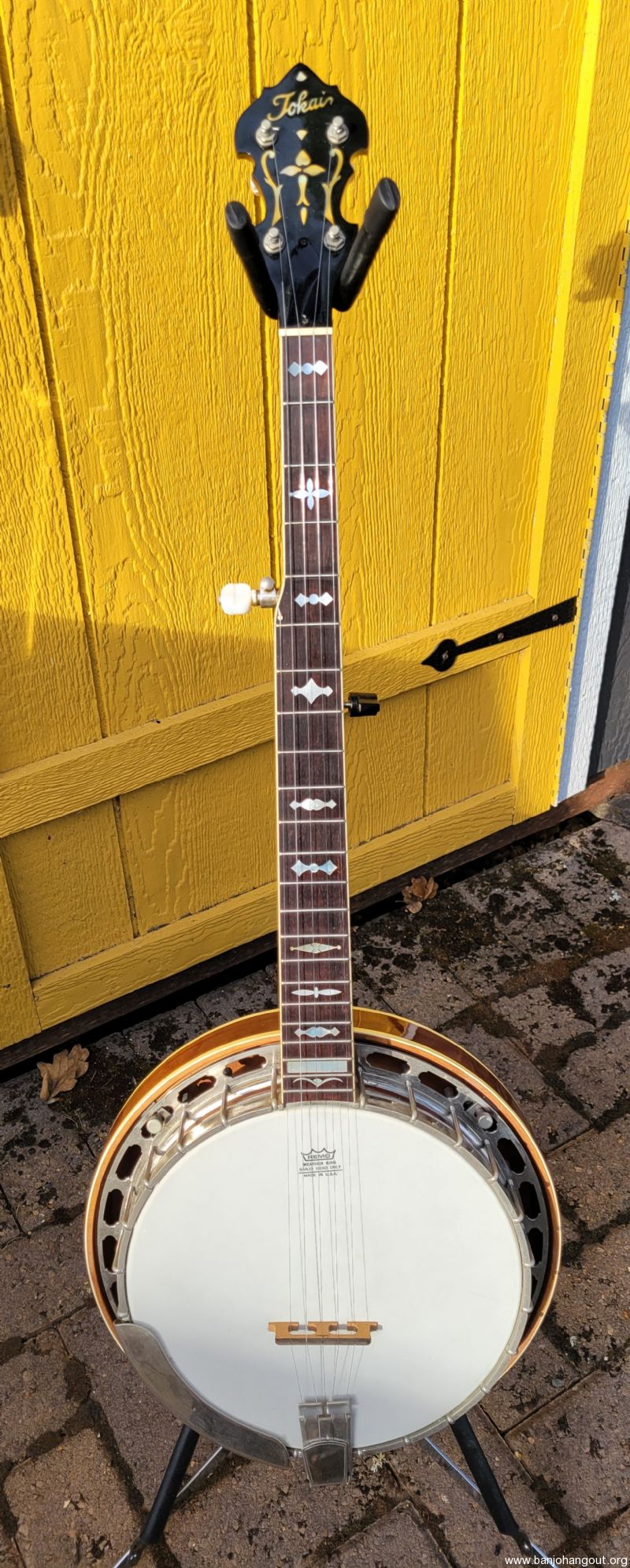 For Sale - 1980 Tokai T850R 5-string Banjo