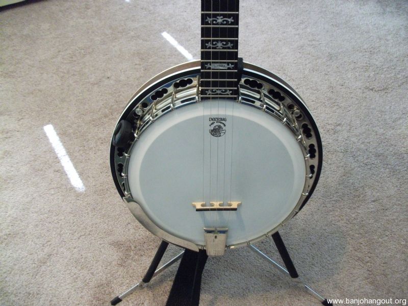 deering banjos for sale