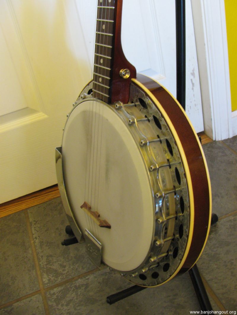 hofner banjo