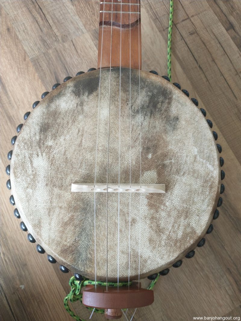 Barry Sholder 5-string mini gourd travel banjo - Banjo Hangout