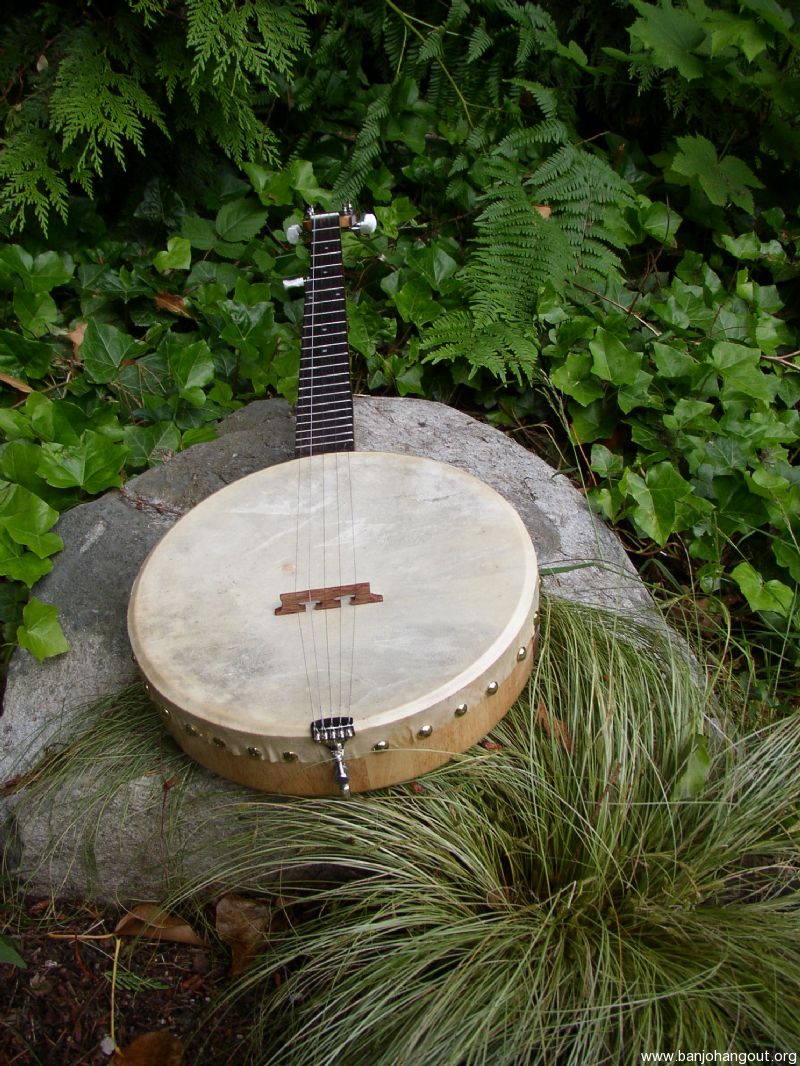 12 Open Back Tack Head Clawhammer Banjo Used Banjo For Sale At