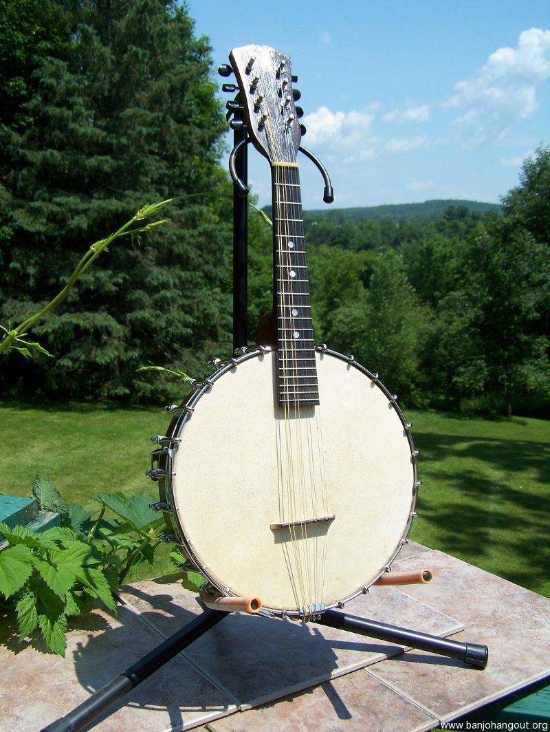 vega mandolin banjo serial numbers