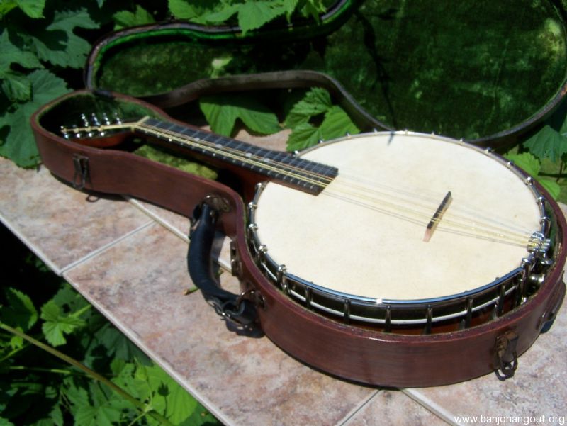 vega mandolin serial numbers