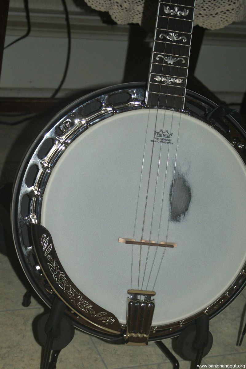 morgan monroe banjo company