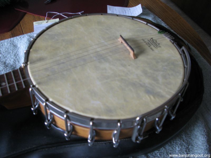 remo banjo