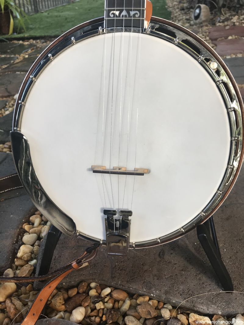 Davis banjo deals for sale