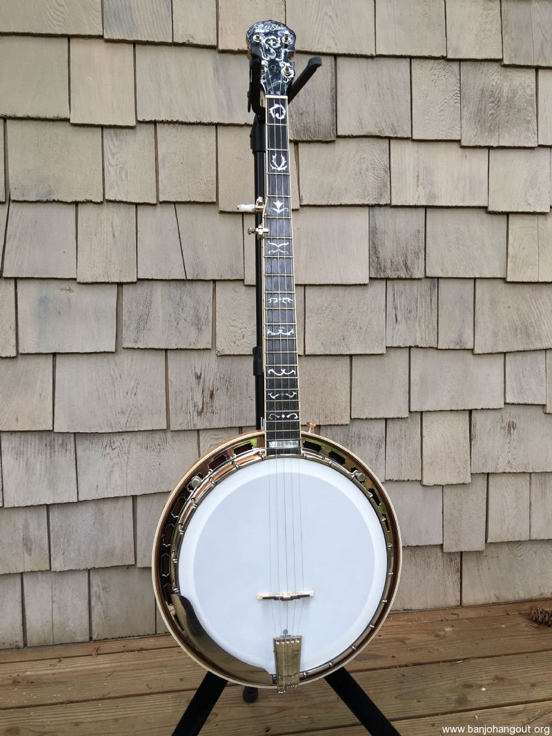 gold star archtop banjo