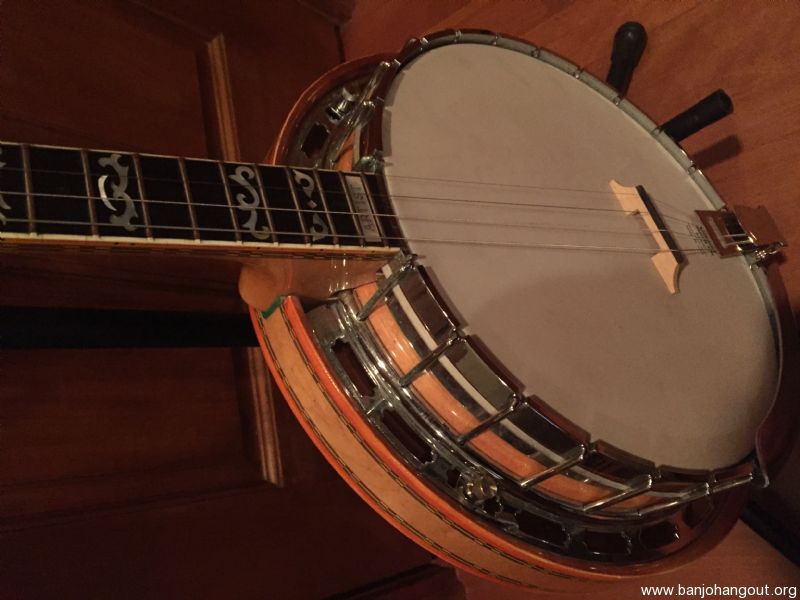 Ibanez artist deals banjo for sale