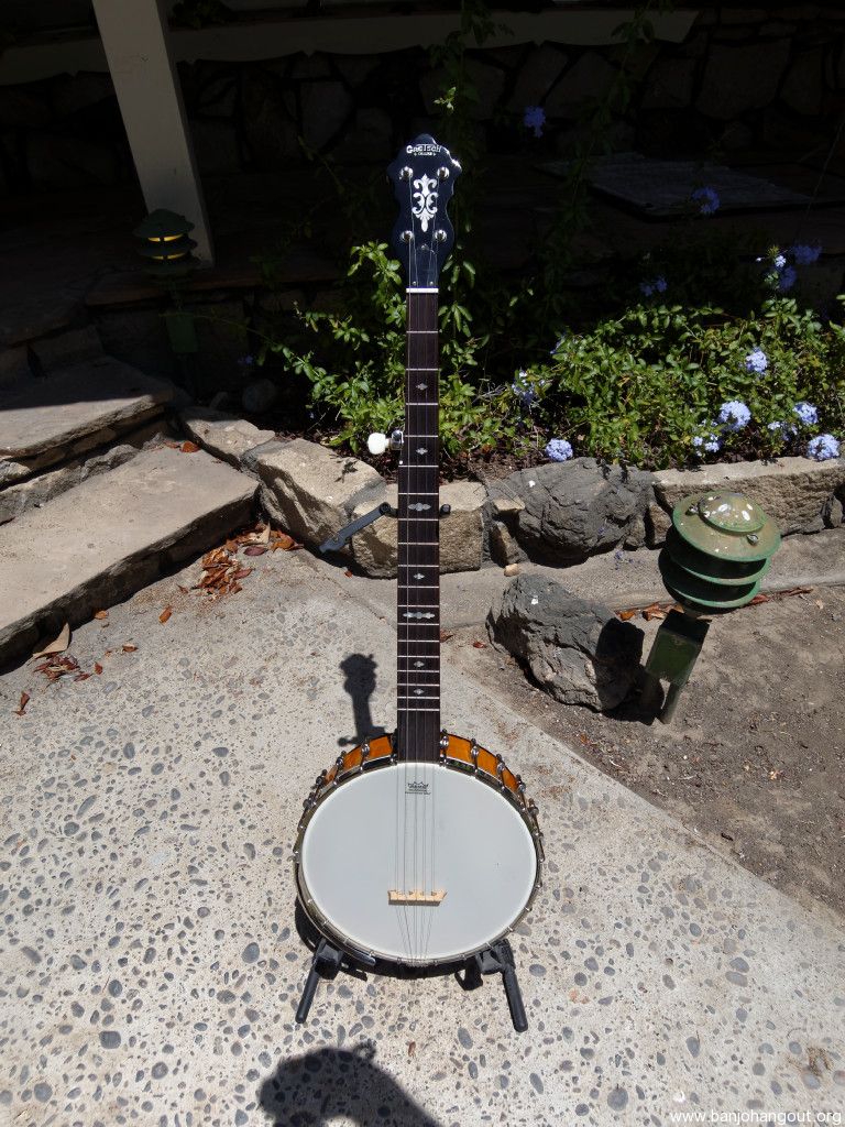 gretsch dixie deluxe banjo