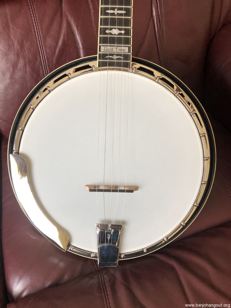 Gold Tone Twanger - Used Banjo For Sale at BanjoBuyer.com