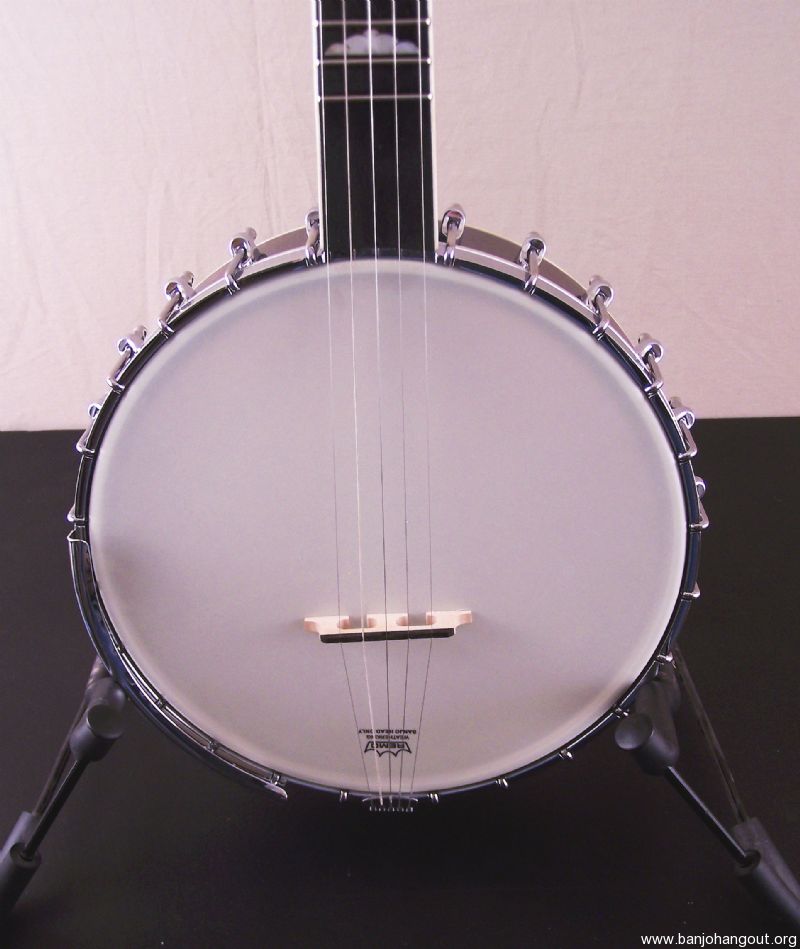 Gold Tone WL-250 Openback Banjo B-Stock/Factory Blem - Used Banjo For ...