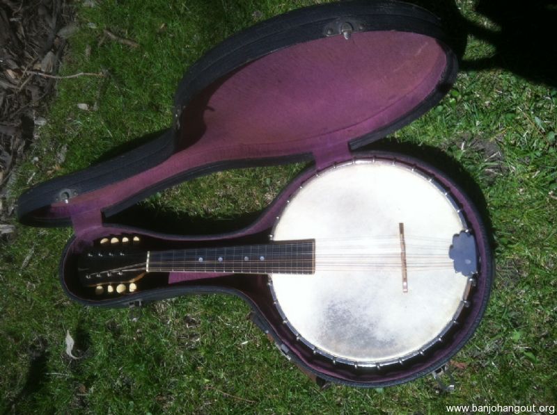 vega mandolin banjo serial numbers