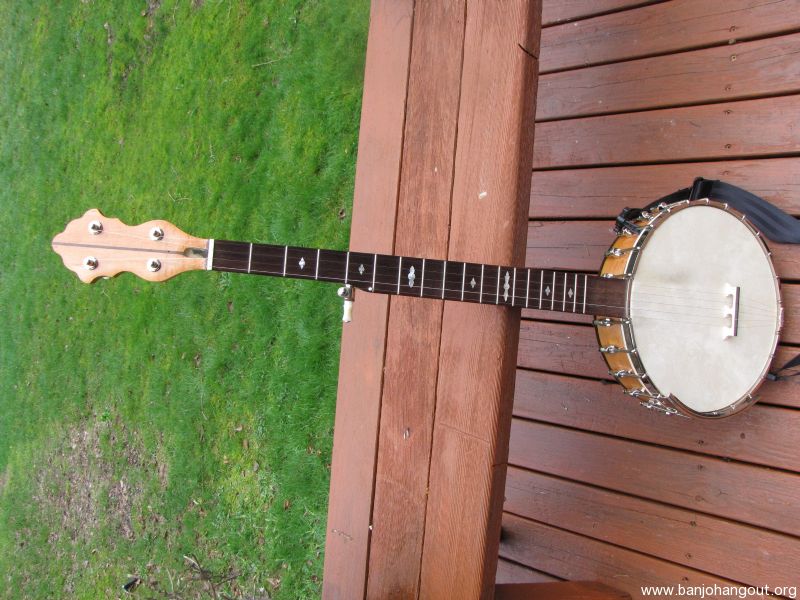 gretsch dixie deluxe banjo