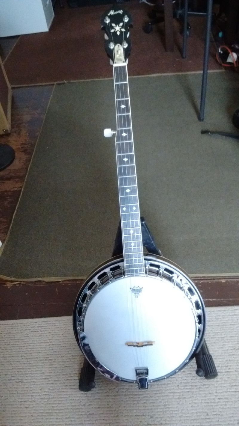 Alvarez Banjo Serial Numbers